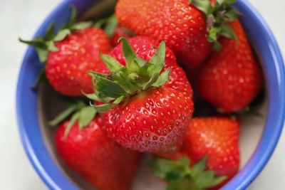 High angle view of strawberries in bowl