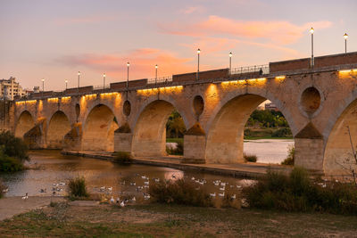 Badajoz palmas bridge at sunset with ducks on guadiana river, in spain