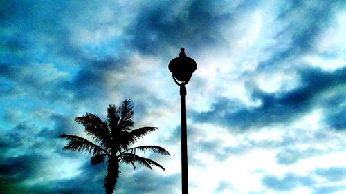 Low angle view of silhouette bird perching on street light