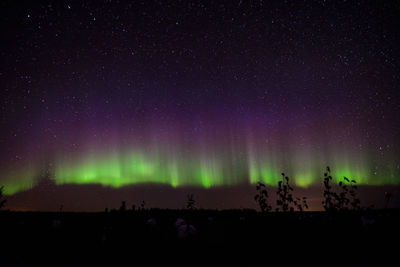 Silhouette landscape against star field at night