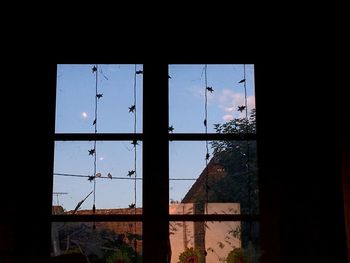 Silhouette buildings seen through window