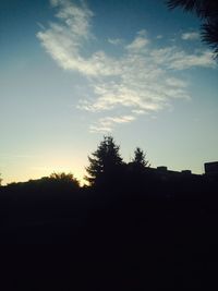 Silhouette of trees at sunset