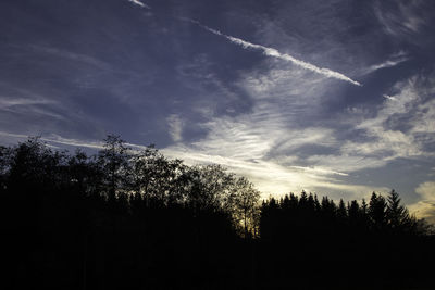 Low angle view of silhouette trees against sky