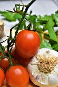 Close-up of tomatoes on table