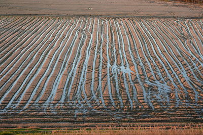 Full frame shot of farm