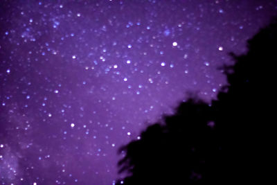 Low angle view of silhouette trees against sky at night