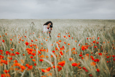 Red poppies on field against sky