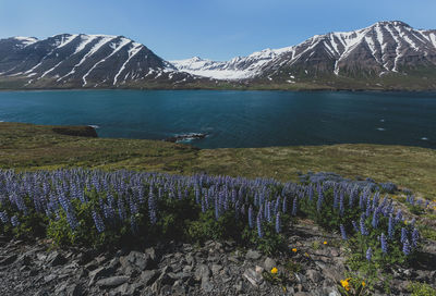 Scenic view of lake and mountains against sky