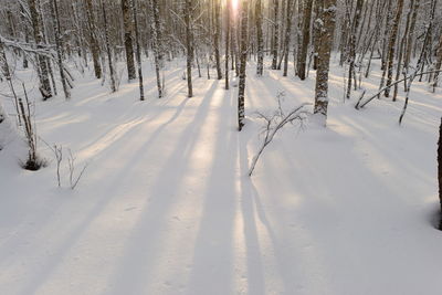 Winter white snow cover in the shadows of morning sun