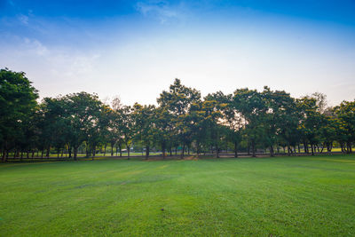 Scenic view of trees on field against sky