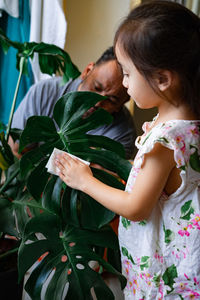 A little girl oiling the houseplant leaves, taking care of plant monstera. family home gardening.