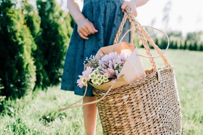 Midsection of woman holding flower in basket on field