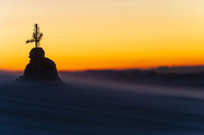 Snow covered tree plant standing on hill