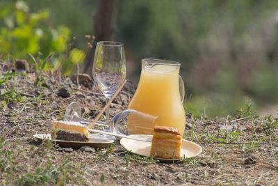 Close-up of wine glass on field