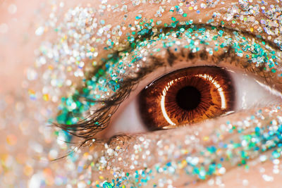 Close-up of woman eye