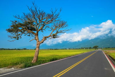 Empty country road by grassy field against sky