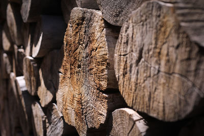 Stack of logs