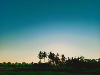 Silhouette trees on field against sky at sunset