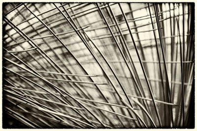 Detail shot of plants