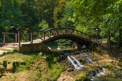 Vrelo bosne nature green park in sarajevo with water and ducks