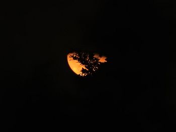 Silhouette tree against sky at night