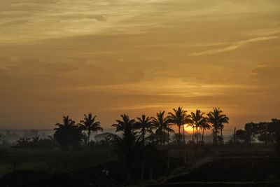 Silhouette palm trees against sky during sunset