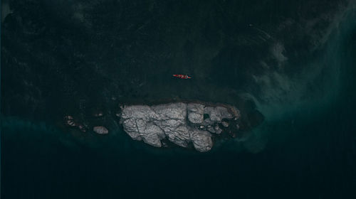 High angle view of duck swimming in sea