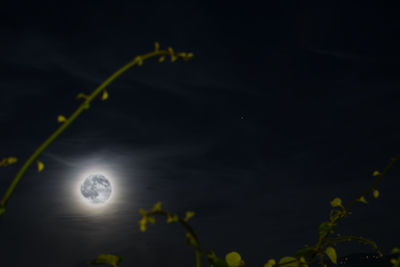 Close-up of moon at night