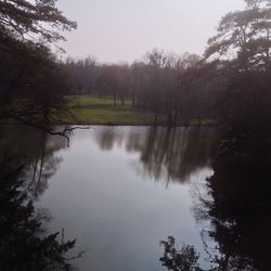 Scenic view of lake in forest against sky