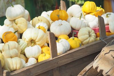 Close-up of pumpkins for sale at market stall