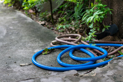 High angle view of blue pipe on plant