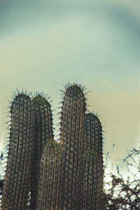 Low angle view of skyscrapers against clear sky