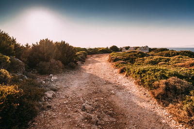 Scenic view of landscape against sky during sunset