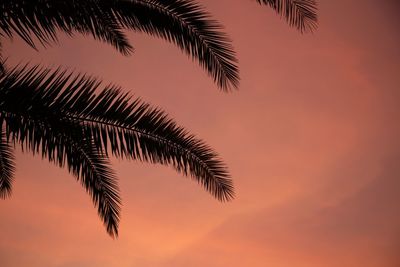 Low angle view of silhouette palm tree against orange sky