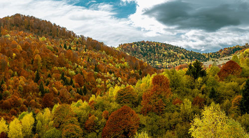 Beautiful autumn landscapes in the romanian mountains, fantanele village area, sibiu county, romania