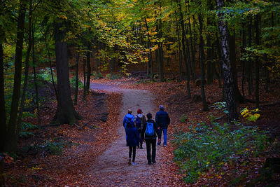 Rear view of people walking on footpath in forest