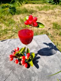 Close-up of red rose flowers