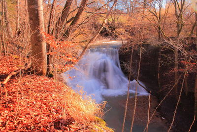 Waterfall in forest during autumn