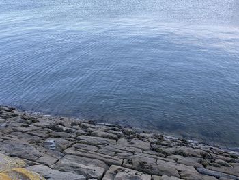 High angle view of rocks on beach