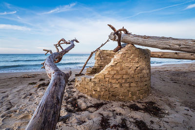 Driftwood on beach by sea against sky