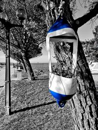 Flower pots hanging on tree trunk