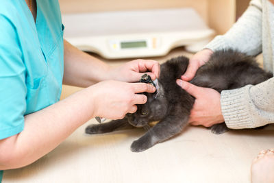 Midsection of woman lying down cat