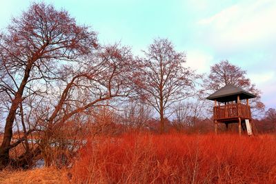 House amidst trees on field against sky