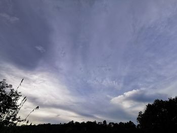 Low angle view of silhouette trees against sky at sunset