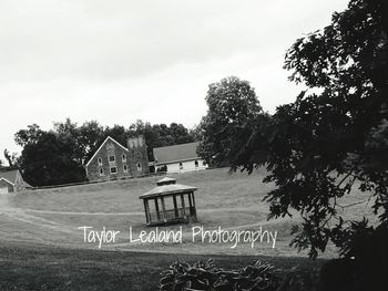 View of trees against sky