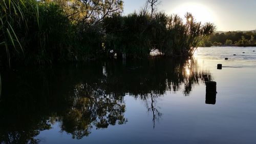 Reflection of trees in lake against sky