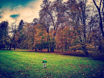 Person in park during autumn