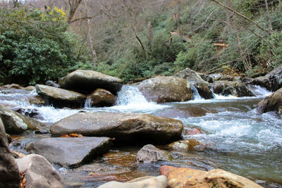 Scenic view of waterfall in forest
