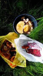 View of food in garden