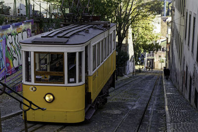 transport